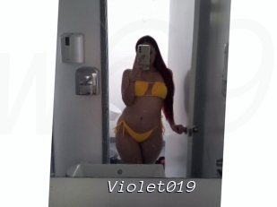 Violet019