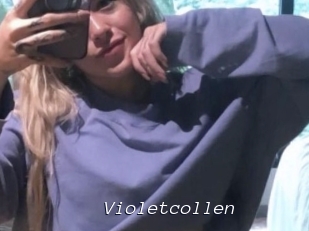 Violetcollen