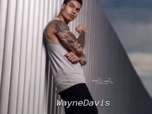 WayneDavis