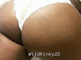 WildKinky22
