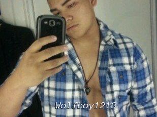 Wolfboy1213