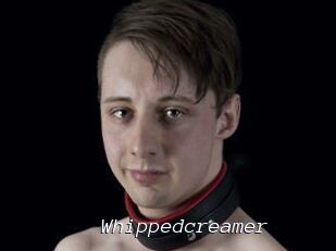 Whippedcreamer
