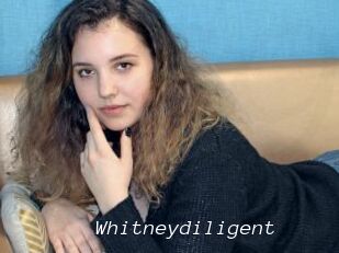 Whitneydiligent
