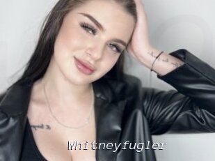 Whitneyfugler