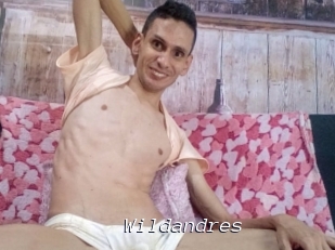 Wildandres