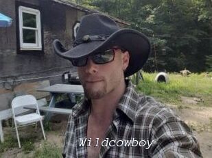Wildcowboy