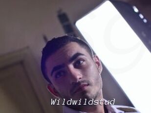 Wildwildstud