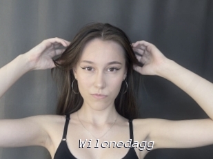 Wilonedagg