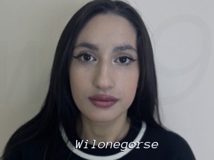 Wilonegorse