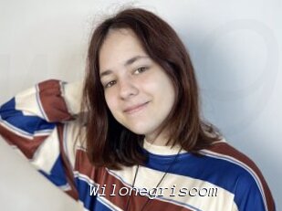 Wilonegriscom