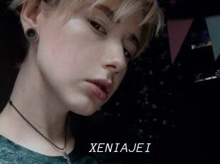 XENIA_JEI