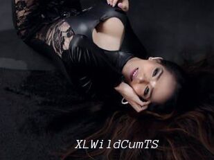 XLWildCumTS