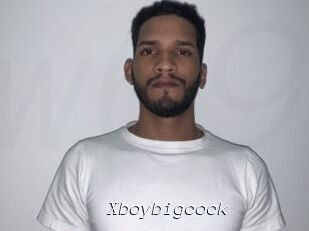 Xboybigcock