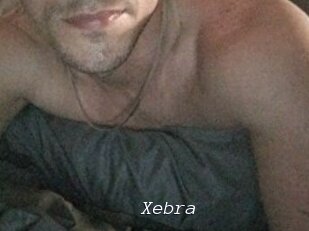 Xebra