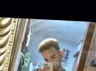 YoungOtter