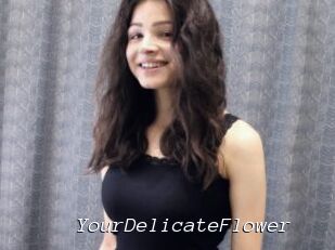 YourDelicateFlower