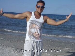 YourHotStallion