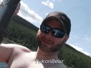 YukonBear