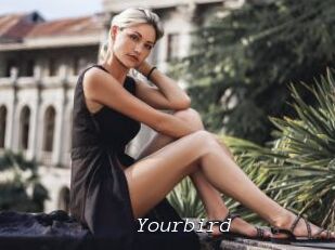 Yourbird
