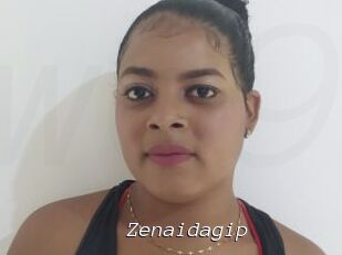 Zenaidagip