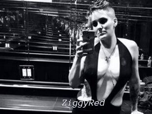 ZiggyRed