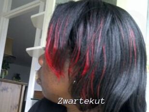 Zwartekut