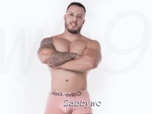 Zabbywc