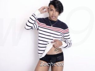 Zachcox