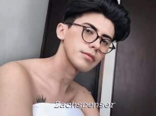 Zachspenser