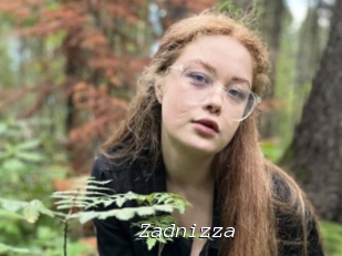 Zadnizza