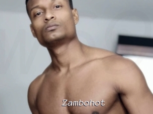 Zambohot