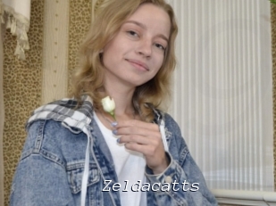 Zeldacatts