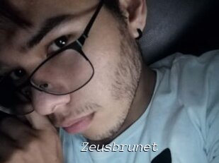 Zeusbrunet