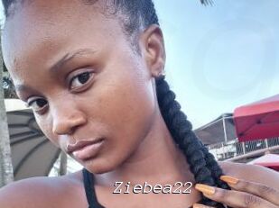 Ziebea22